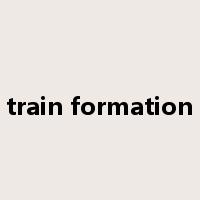train formation是什么意思