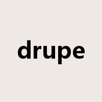 drupe是什么意思