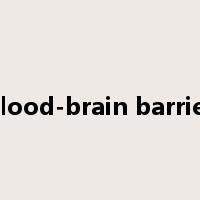 blood-brain barrier是什么意思