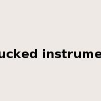 plucked instrument是什么意思
