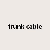 trunk cable是什么意思