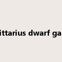 Sagittarius dwarf galaxy是什么意思