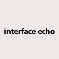 interface echo是什么意思