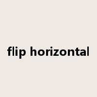 flip horizontal是什么意思