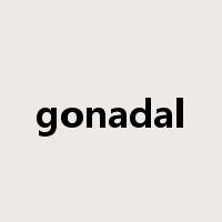 gonadal是什么意思