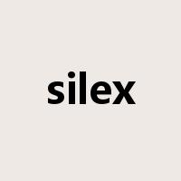 silex是什么意思