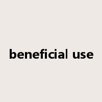 beneficial use是什么意思