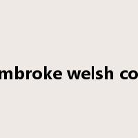 pembroke welsh corgi是什么意思