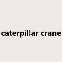 caterpillar crane是什么意思