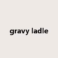 gravy ladle是什么意思