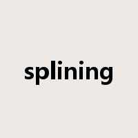 splining是什么意思