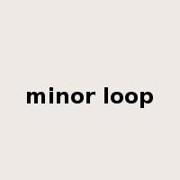 minor loop是什么意思