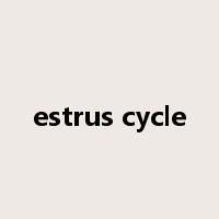 estrus cycle是什么意思