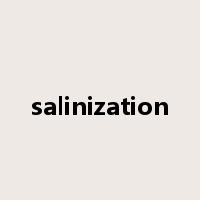 salinization是什么意思
