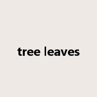 tree leaves是什么意思