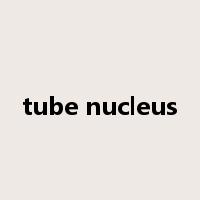 tube nucleus是什么意思