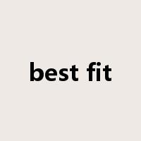 best fit是什么意思