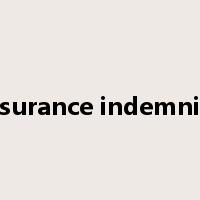 insurance indemnity是什么意思