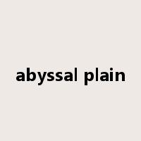 abyssal plain是什么意思