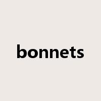 bonnets是什么意思