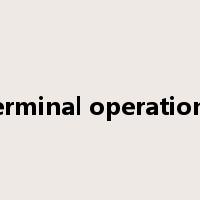 terminal operations是什么意思