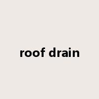 roof drain是什么意思