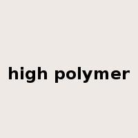 high polymer是什么意思