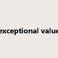 exceptional value是什么意思
