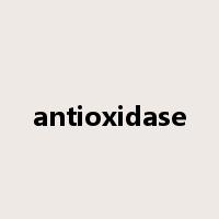 antioxidase是什么意思