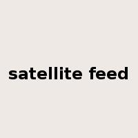 satellite feed是什么意思