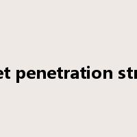 market penetration strategy是什么意思