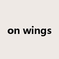 on wings是什么意思