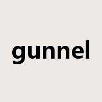 gunnel是什么意思