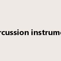 percussion instrument是什么意思