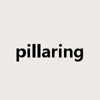 pillaring是什么意思