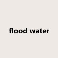 flood water是什么意思