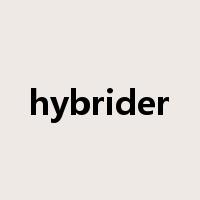 hybrider是什么意思