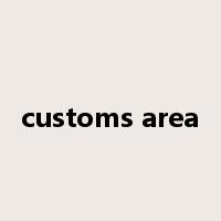 customs area是什么意思
