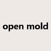 open mold是什么意思
