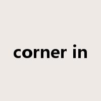 corner in是什么意思