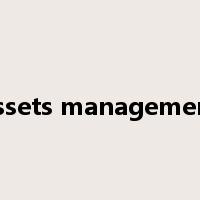 assets management是什么意思