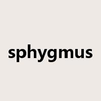 sphygmus是什么意思