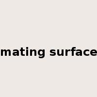 mating surface是什么意思