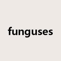 funguses是什么意思