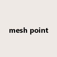 mesh point是什么意思