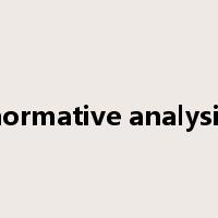 normative analysis是什么意思
