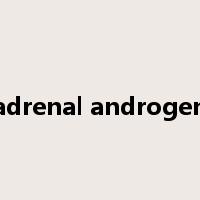 adrenal androgen是什么意思