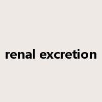 renal excretion是什么意思