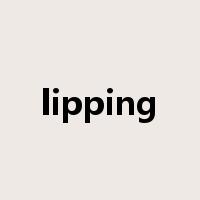 lipping是什么意思