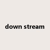 down stream是什么意思